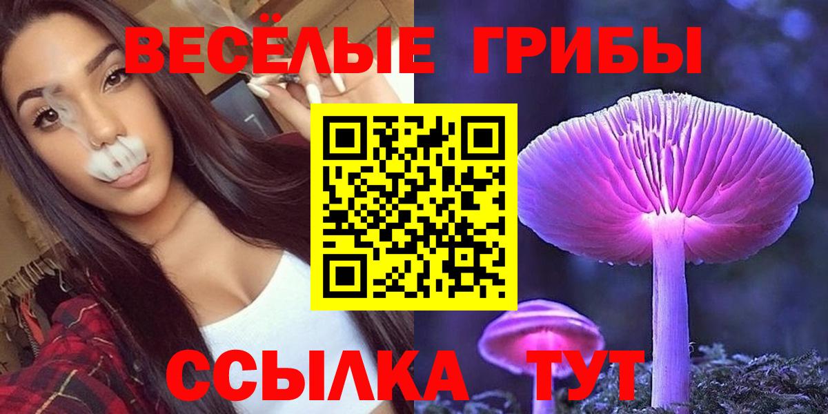 Псилоцибиновые грибы Psilocybe  наркота  Кулебаки  Вход с VPN 